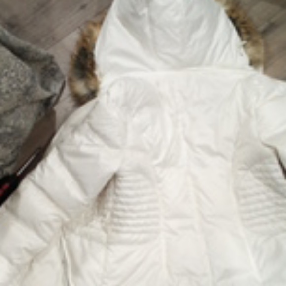 Jacket - Picture 2 of 4